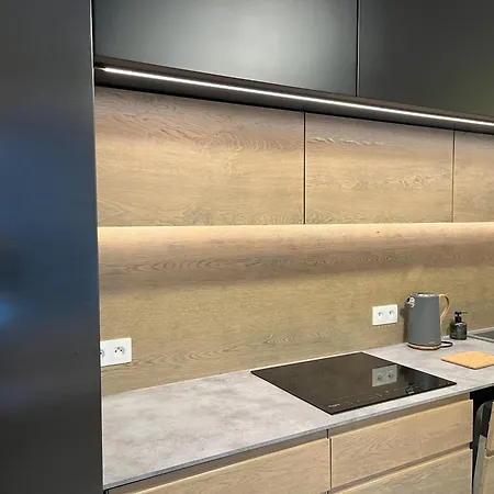 Lägenhet I&n Janov nad Nisou